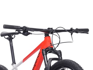 Horské kolo SUPERIOR XP 6.2 Gloss Brushed Alu / Red 29 6 (6)