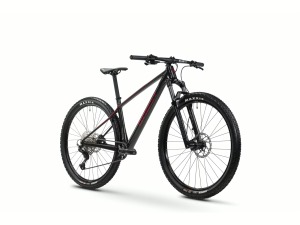 Horské kolo GHOST Lector Universal Raw Carbon/Metallic Rusty Red 1 (1)