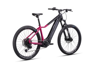 Elektrobicykel CRUSSIS e-Guera 10.10-(900 Wh) (2)