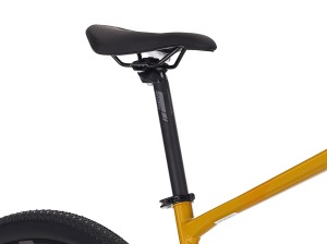 xc60yellow3 (3)