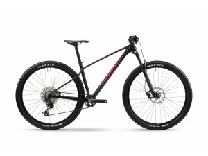 Horský bicykel GHOST Lector Universal Raw Carbon/Metallic Rusty Red S