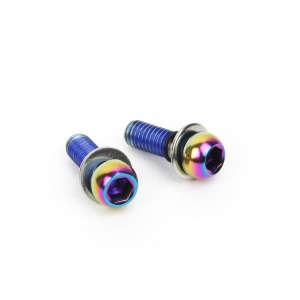 Šrouby SRAM k třmenům Post Mount Rainbow 17 mm (1)